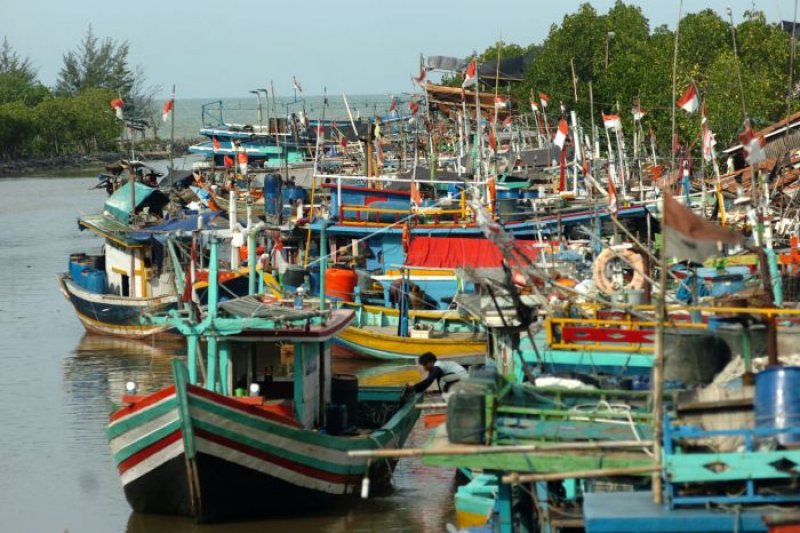 Pemerintah Diminta Mobilisasi Kapal Nelayan Indonesia Penuhi Laut Natuna